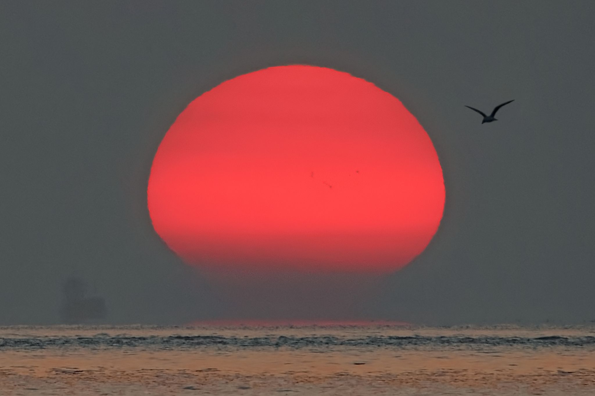 黒点がある夕日 日の出日の入時刻・方角マップ