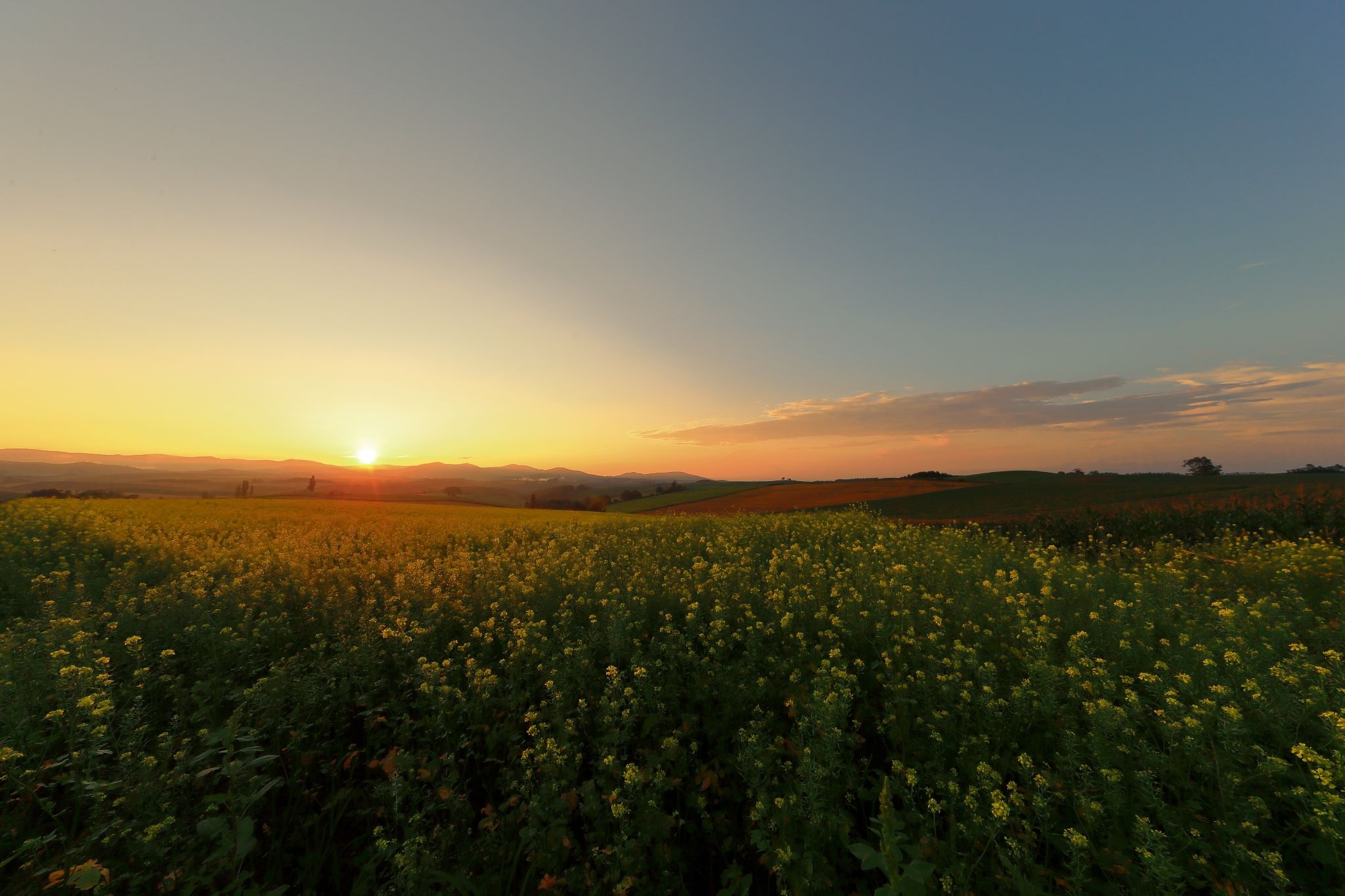 美瑛の夕日 日の出日の入時刻 方角マップ